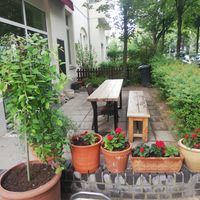 The Place at Bei Mutti in Berlin