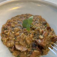 Mushroom orzo appetizer  at Five Senses in Santorini
