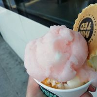 Aperol spritz sorbet + coconut & passion fruit gelato at Minted Ice Cream in Glasgow