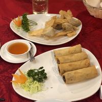 Vegetable spring rolls and wan ton  at Handforth Chinese Restaurant in Wilmslow