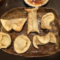 Garlic gyoza (spelling ”wisdom”) at Yakuzenshokudo Chabuzen in Tokyo