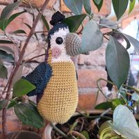 «Papegøye» is the Norwegian word for «parrot» at Papegoye in Oslo