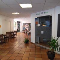 Interior at Kisaku in Geneva