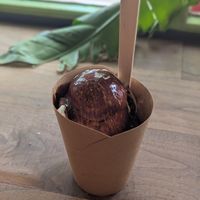  at The Bent Spoon in Princeton