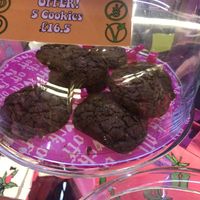   at Natashkinoltd in South West London