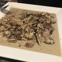 Mushroom risotto  at V-Spot in New Hope