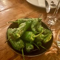   at Canto in Manchester