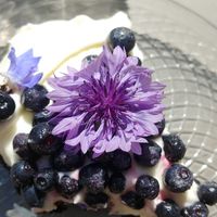  at Freya Cafe in Warsaw