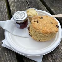   at RSPB Bempton Cliffs in Bridlington