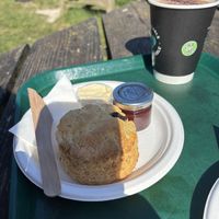 Scone   at RSPB Bempton Cliffs in Bridlington