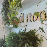 Wall full of green succulents and plants  at All Roads in Jefferson