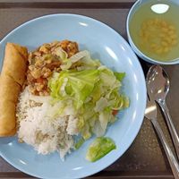 White rice with stir fried cabbage, tofu & spring roll at SuManYuan 素满园 - People's Park Centre in Central Singapore