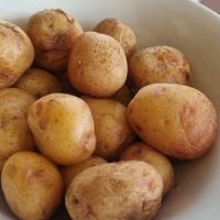 canary potatoes with mojo sauce at Capri in Lanzarote