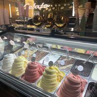 Vegan Options In The Front Row   at Anita Gelato in London