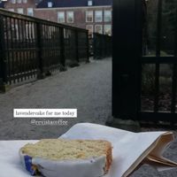 The revista truck is situated somewhere else, but I wanted to chill out in this garden. Therefore i took the cake with me at Revista Coffee in Groningen