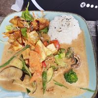 Erdnuss Curry mit Tofu, Reis und dazu Gyozas at Weisser Schwan in Potsdam