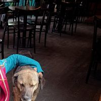 Amigos de Pura Vida at Pura Vida in El Calafate