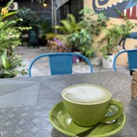 Matcha latte with non dairy milk.  at Planta in Phnom Penh
