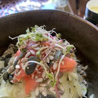 The service is very good, the menu shows clearly all the vegetarian and vegan options. Gourmet food for sure! Even the convert with the olive oil is special.   at Tierra in Matera