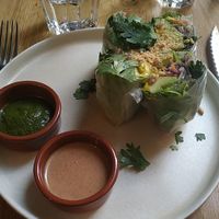 Rouleaux de printemps at Koko Green in Nice