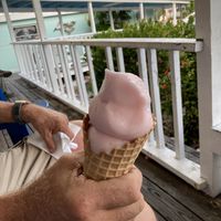 Raspberry -Lemon. Not bad but less flavor than Wild Cherry   at Pinocchio's in Sanibel