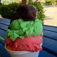 vegan sorbet at Pinocchio's in Sanibel