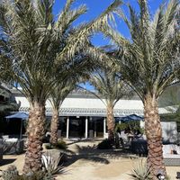 Outside dining  at Azure Palm Café in Desert Hot Springs