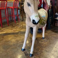 The Begging Burro  at The Begging Burro in Custer