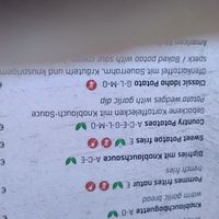  at Mo's Esscafe & Musicroom in Mayrhofen