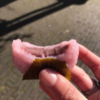 mochi  at Tokyo Taiyaki Story in The Hague