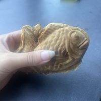 Anko taiyaki  at Tokyo Taiyaki Story in The Hague