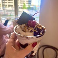non dairy hot fudge sundae  at Ghirardelli in Chicago