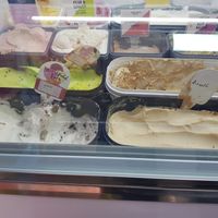 Clearly labelled vg/plant based options at Rainbow Scoops  in Darlington