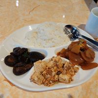Mushrooms, tofu and potato with rice at Zuya Vegetarian 竹雅素食 - Marina Square in Central Singapore