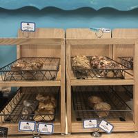 Selection of bakery items (many vegan) at Manndible Cafe in Ithaca