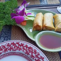 Spring rolls at Thai Square in Waterloo