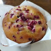 Raspberry muffin at Elizabeth Town Bakery Cafe in Elizabeth Town