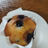Blueberry muffin at Elizabeth Town Bakery Cafe in Elizabeth Town
