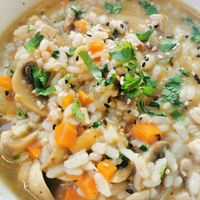 Mushroom risotto at Veganicelos in Setubal