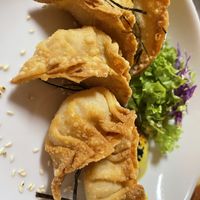 Went back the next day with the same order but added the golden dumplings. Chock full of fillings and crispy!!  at Neko Vegan House in Penang