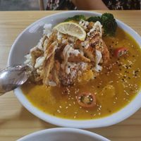Curry with rice at Neko Vegan House in Penang