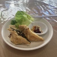 Dumplingss  at Neko Vegan House in Penang
