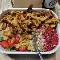  at Gustav Grün in Osnabrueck