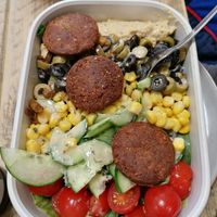  at Gustav Grün in Osnabrueck