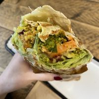   at Gustav Grün in Osnabrueck