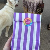   at Sugar Noms in Redcar