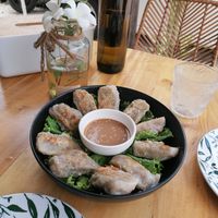 Dumplings 😍🌴 at The Vegan Shack in Panglao