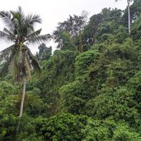  at Murni's Warung in Ubud