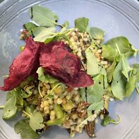 Main: Fregola sarda with ramson and morels  at Albert & Frida in Bern