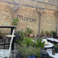 Garden  at Pitanga in West London